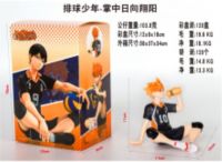 haikyuu  x1 caja 18cm