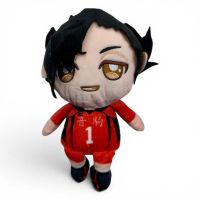 peluche  Haikyuu  tetsuro kuroo  no1  23cm